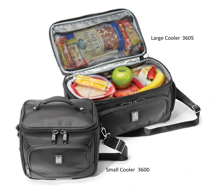 large lunch box cooler